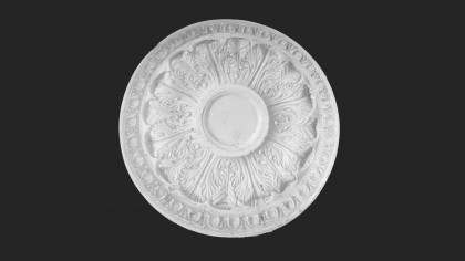 Palace ceiling rose