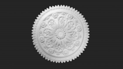 Palace ceiling rose