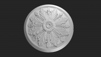 Palace ceiling rose