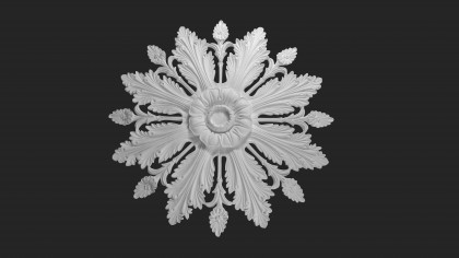 Palace ceiling rose