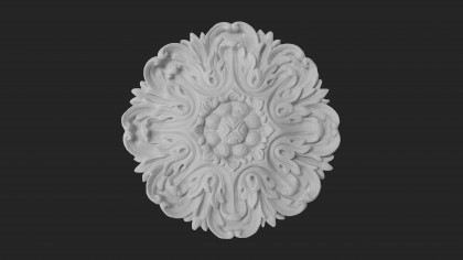 Palace ceiling rose