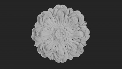 Palace ceiling rose